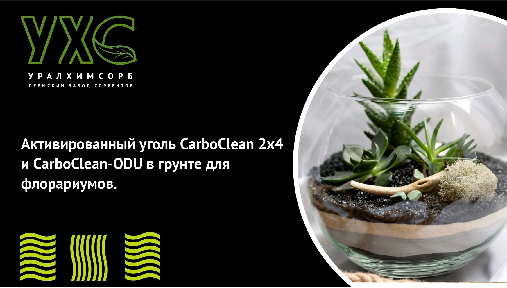 Активированный уголь CarboClean 2x4 и CarboClean-ODU в грунте для флорариумов