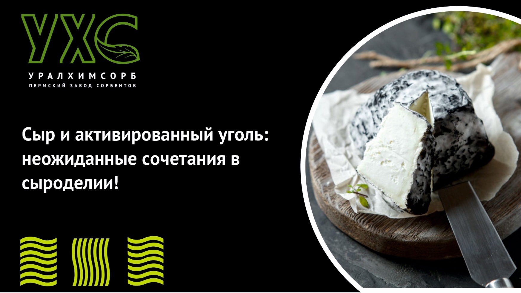 Сыр и активированный уголь: неожиданные сочетания в сыроделии